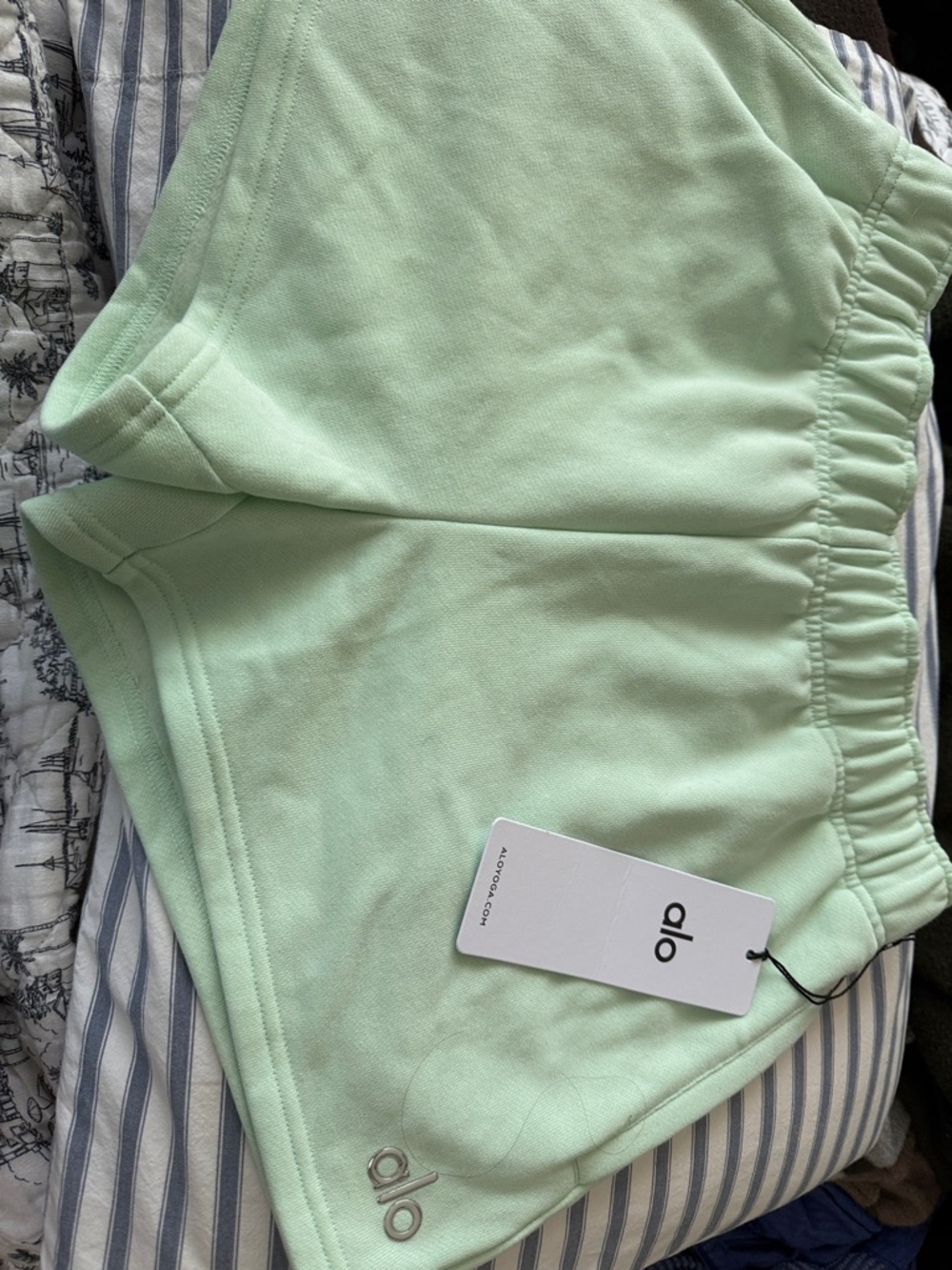 Alo Spearmint accolade Shorts